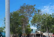 La luz se apaga, el coraje ciudadano se enciende y Estefania Mercado solo se lamenta en redes sociales.