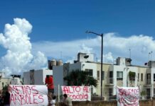 Destruyen la selva de Palmas II vecinos exigen la intervención inmediata de PROFEPA y SEMARNAT ante el silencio del Ayuntamiento de Playa del Carmen